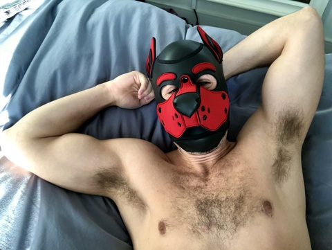 Header of fitmusclepup