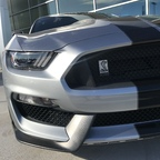 Download forensic OnlyFans videos and photos for free 

 profile picture