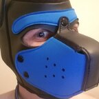 Download foxpupray OnlyFans videos and photos for free 

 profile picture