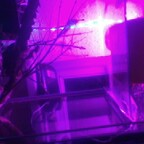 freak-on-a-leash (Freak on a leash) free OnlyFans Leaked Content 

 profile picture