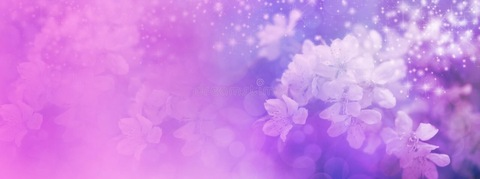 Header of godlywife2