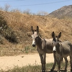 greatasspics (Ass Pics) OnlyFans Leaked Videos and Pictures 

 profile picture