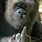 Kalaaleq greenlandic Leaked OnlyFans 

 profile picture