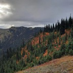 haydenwd (u235205396) free OnlyFans Leaked Videos and Pictures 

 profile picture