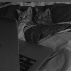 Onlyfans leaks hellenax 

 profile picture