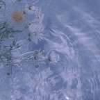 kyla housekeeping Leak OnlyFans 

 profile picture