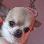 Free access to houstonreviewer Leaks OnlyFans 

 profile picture