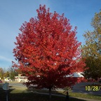 iaboy7635 (Iaboy7635) free OF Leaked Videos and Pictures [!NEW!] profile picture