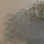 ienfelloryy (Ien) Only Fans Leaked Videos and Pictures [UPDATED] profile picture