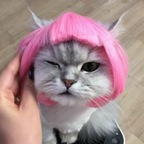 Onlyfans leaked imqueenlia 

 profile picture