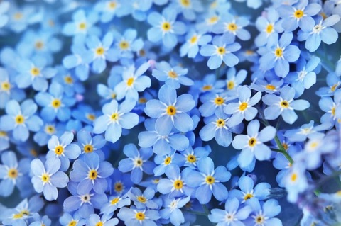Header of itsmamabee23
