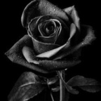 Onlyfans leaks james45623621 

 profile picture