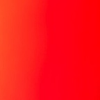 javiera (Babe) OnlyFans Leaked Pictures and Videos 

 profile picture