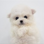 Download jehehebsjdnw OnlyFans content for free 

 profile picture