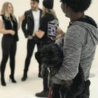 JJ Love Network (jjlovenet) Leak OnlyFans 

 profile picture