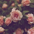 jordyn (jordyn) OnlyFans Leaked Content [NEW] profile picture