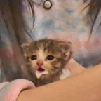 Onlyfans leaks keniajose 

 profile picture