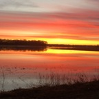 kingofthesouth94 (Tennessean) Only Fans Leaks [NEW] profile picture