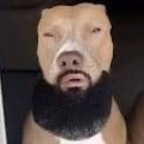 Onlyfans leaks kiwwis 

 profile picture