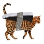 Onlyfans leaked kyliexo 

 profile picture