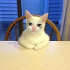 J-j (la-la) Leaked OnlyFans 

 profile picture