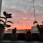 Laura laurar Leaked OnlyFans 

 profile picture