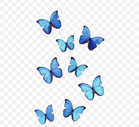 Header of lavenderjade1