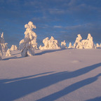 lemod6 (Lemod6) free OnlyFans Leaked Content 

 profile picture