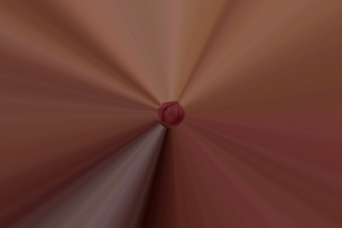 Header of leylaluuu