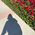 Onlyfans leaked librababy 

 profile picture