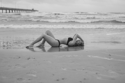 Header of lilladybird