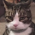 linly OnlyFans Leaked 

 profile picture