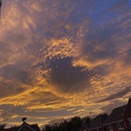 Download littleblondiex OnlyFans content for free 

 profile picture