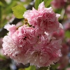 Onlyfans leaks lucygray 

 profile picture