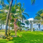 maryfine (Mary Ch) OnlyFans Leaked Pictures & Videos 

 profile picture