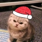 massimo (Massimo) free OnlyFans Leaked Pictures & Videos 

 profile picture