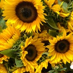 Download maurishka OnlyFans videos and photos for free 

 profile picture