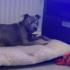 Download misscc OnlyFans videos and photos for free 

 profile picture