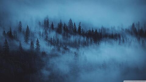 Header of misssparkless