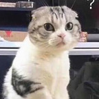 Free access to @mooncat Leaks OnlyFans 

 profile picture