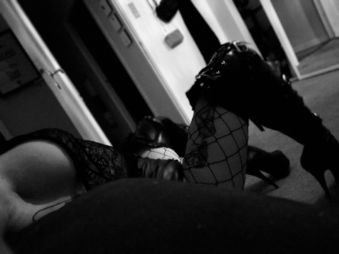 Header of myheelsmyheaven