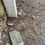 natacha33 (Natacha) free OnlyFans Leaked Content 

 profile picture