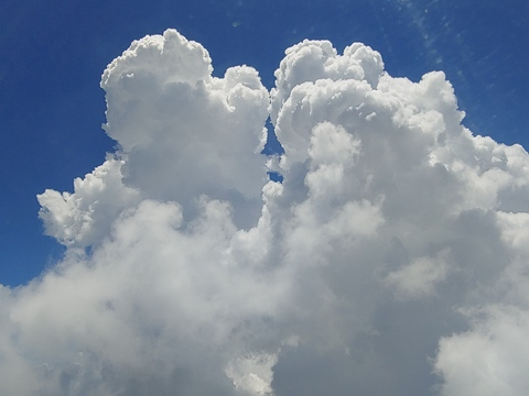 Header of nikatnight2016