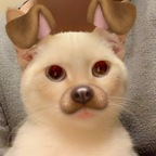 Free access to @noonz Leaks OnlyFans 

 profile picture