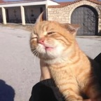 notlola (notlola) OF content [!NEW!] profile picture