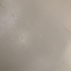 ohrangutang (OhRang) free OF Leaked Pictures and Videos [UPDATED] profile picture