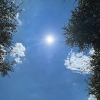 Download oilybody OnlyFans content for free 

 profile picture