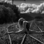 openheartscanunite (Rhy) Only Fans Leaked Pictures & Videos [FRESH] profile picture