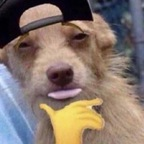 Download palmtoptiger OnlyFans content for free 

 profile picture