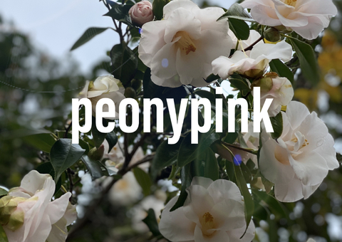 Header of peonypinkfree